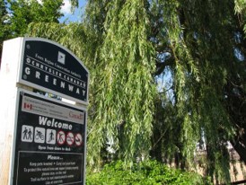 Chrysler Canada Greenway sign beside willow tree